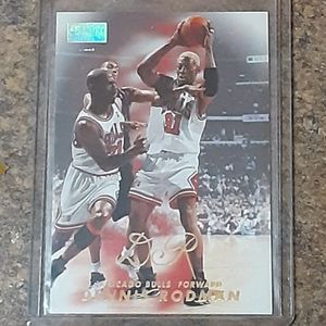Vintage Jordan / Rodman Chicago Bulls Collector's